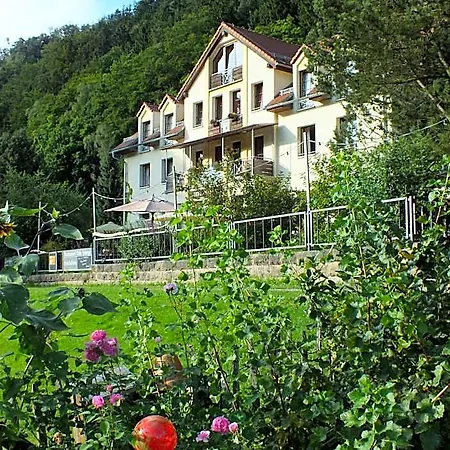 Bio-hotel Helvetia Hotel Bad Schandau