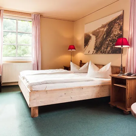 Bio-hotel Helvetia 4*