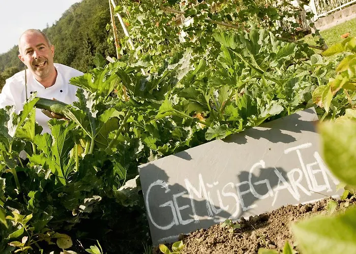 Bio-hotel Helvetia Hotel 4*